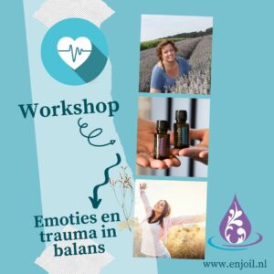 Workshop emoties en trauma in balans
