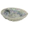 Abalone schelp Haliotis Midae voor smudging