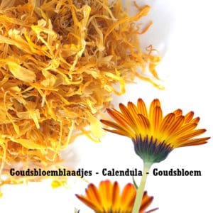 Goudsbloemblaadjes, Calendula officinalis, goudsbloem