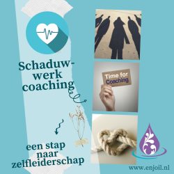 Schaduwwerk coaching